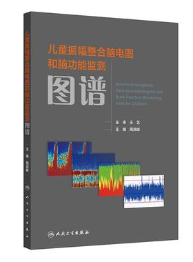儿童振幅整合脑电图和脑功能监测图谱神经功能脑损伤幼儿语言迟滞儿童神经危重症检查规范脑病aEEG异常神经发育基层医务识别解读