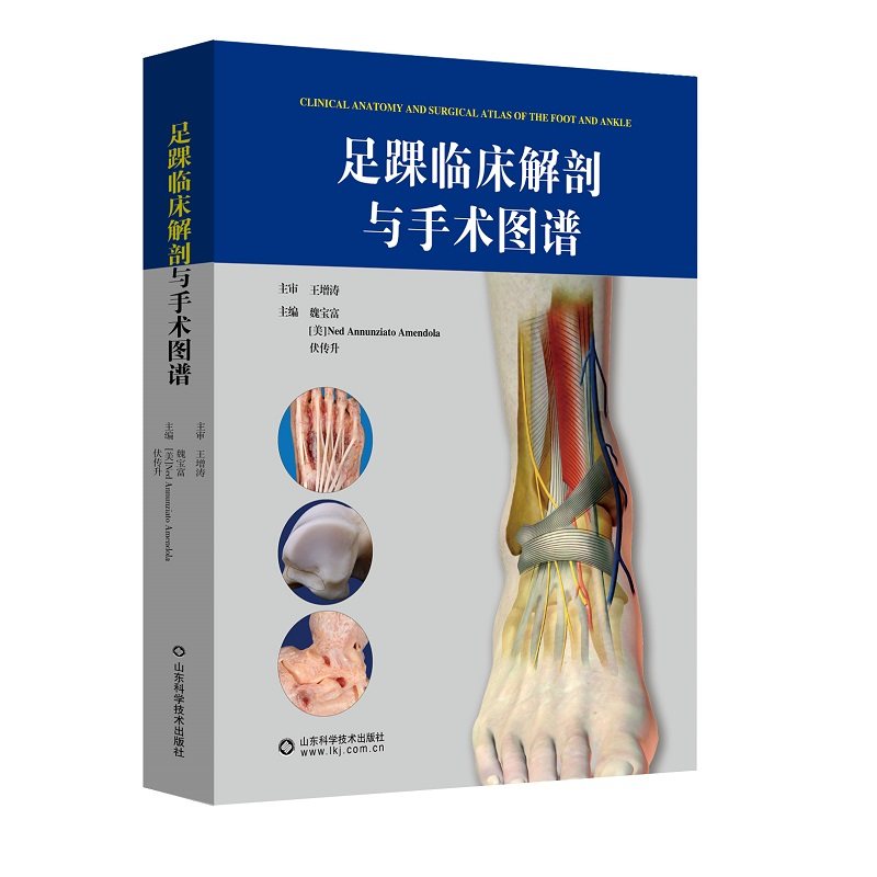 足踝临床解剖与手术图谱 魏宝富 等主编足踝常用手术与解剖 急性踝