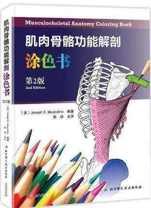 正版包邮 肌肉骨骼功能解剖涂色书 第2版 骨骼肌肉系统解剖线条图色书 奈特人体彩色解剖图谱涂色书籍 医学书籍 人体解剖学书籍