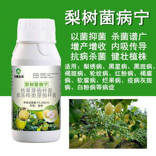 梨树锈病专用药羊胡子病菌清叶斑褐斑病软腐病杀菌剂非农药专用肥