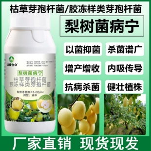 梨树锈病专用药治叶斑病白粉病黑斑病杀菌剂病菌清保花保果专用肥