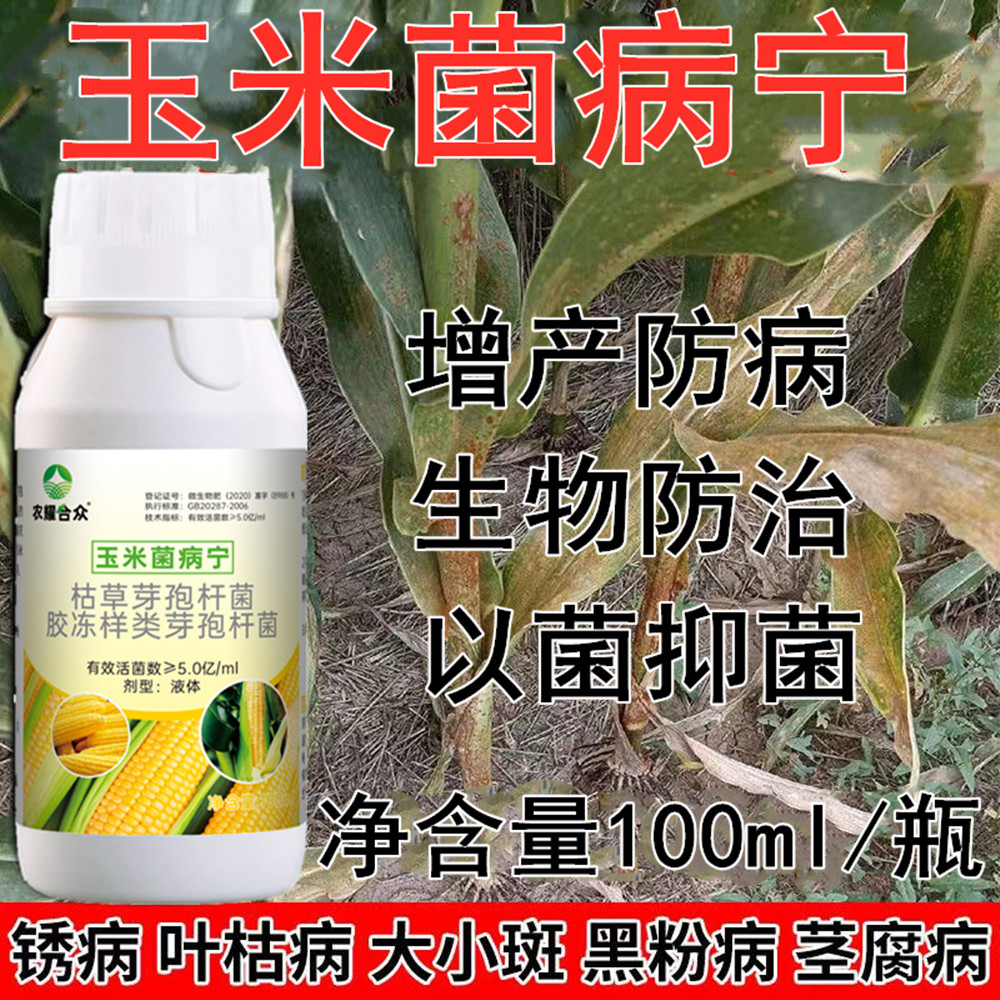 玉米锈病专用药菌立清增产素大斑病茎腐病粗缩病叶斑病防病杀菌剂