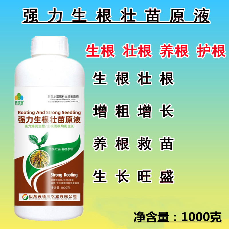 生根壮苗剂生根粉生根液移栽扦插果树花卉绿萝兰花强力发根促长剂