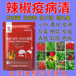 辣椒专用药杀菌剂疫病清炭疽净病毒病白粉 全 展叶剂辣椒病菌清治