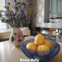 Creative ironwork Bird's Nest Klein fruit basket, mesh fruit plate, living room coffee table, household snack and dried fruit display plate thumbnail 5
