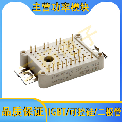 IGBT模块GD30/20/15/10 PJX/PJY120/65L2S/L2S_B20/L2S_B22拍前询