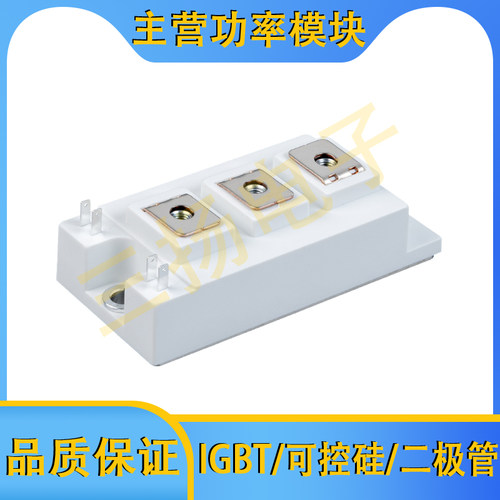 IGBT模块MMG300Q060B6TC MMG200Q120B6TC半桥拍前询