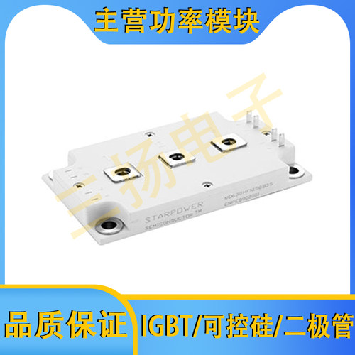 IGBT模块GD300MLX65B3ST GD400MLX65B3ST拍前询