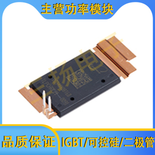 碳化硅MOSFET DG340/200A 08T6B/12T6B DM88/50S 12T6/08T6拍前询