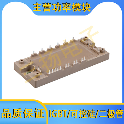 IGBT模块MMG75HE120XB6T7_W11 MMG50/40/35/25HD120XB6TC拍前询