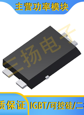 肖特基二极管VSQS/VSHS15/10/03A065/045/12/08拍前询