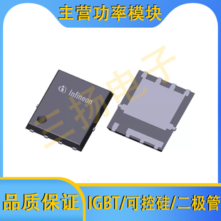 汽车MOSFET场效应管IAUC120/100/80N10/08/06S6/5L300/245拍前询