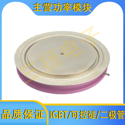 可控硅I4940/3565/3029/2714/1806PA/PL/PAB300/240/160拍前询