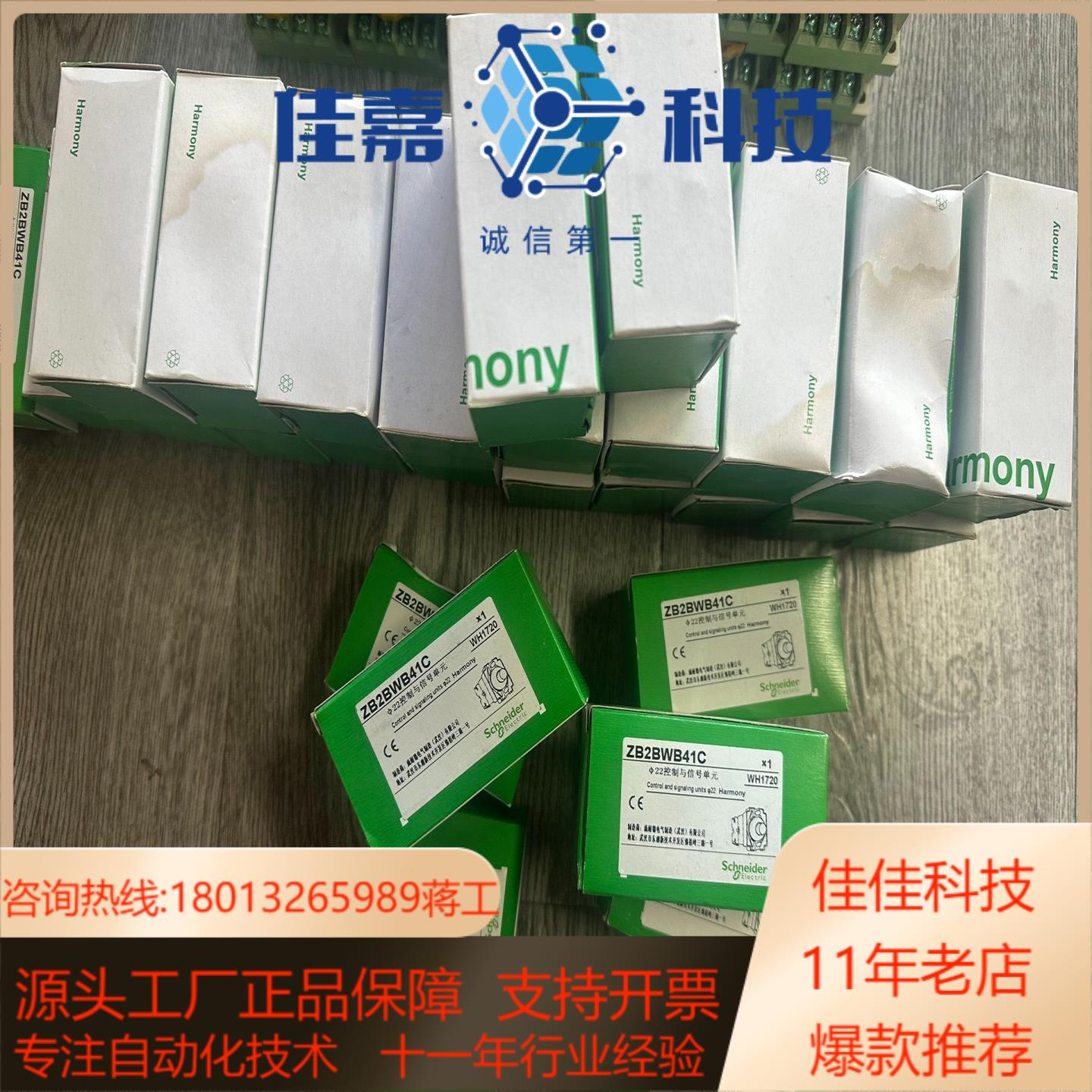 带灯按钮ZB2BWM41C 全新原装正品
