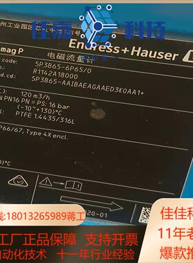 EH恩德斯豪斯计5P3B65-6P650