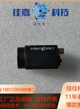 #POINTGREY灰点#工业相机WS-D13M2-CS 实