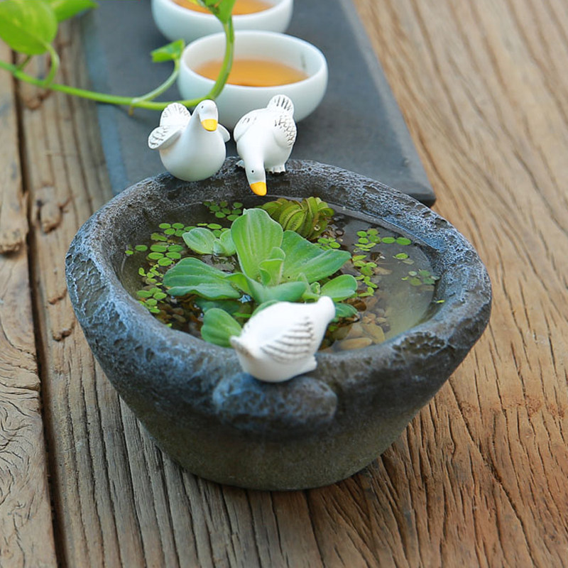 花盆创意摆件阳台桌面水培器皿水养石头盆子花园庭院装饰中式家居