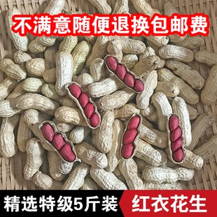 【带壳生的红皮花生】东北四粒红皮花生带壳新货晒干新鲜花生的