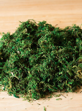 天然干苔藓盆栽花盆土铺面草装饰