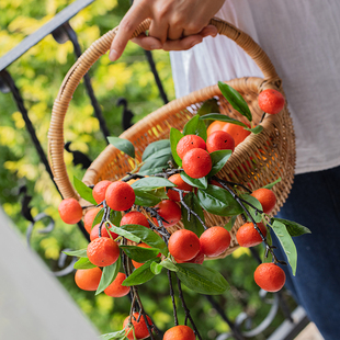 桔子干花仿真花假花果实树枝客厅餐桌花装饰插花仿生橘子干枝摆件