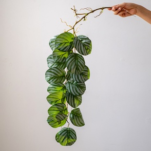 吊兰垂吊植物仿真绿植藤蔓藤条悬挂壁挂仿生假绿植餐室内装饰造景