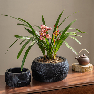 花盆摆件客厅茶室造景装饰桌面绿植盆栽花盆圆形仿石花盆复古中式