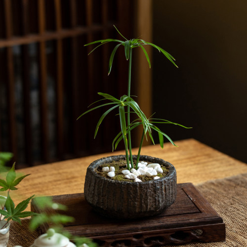 复古小花盆桌面小盆景禅意中式