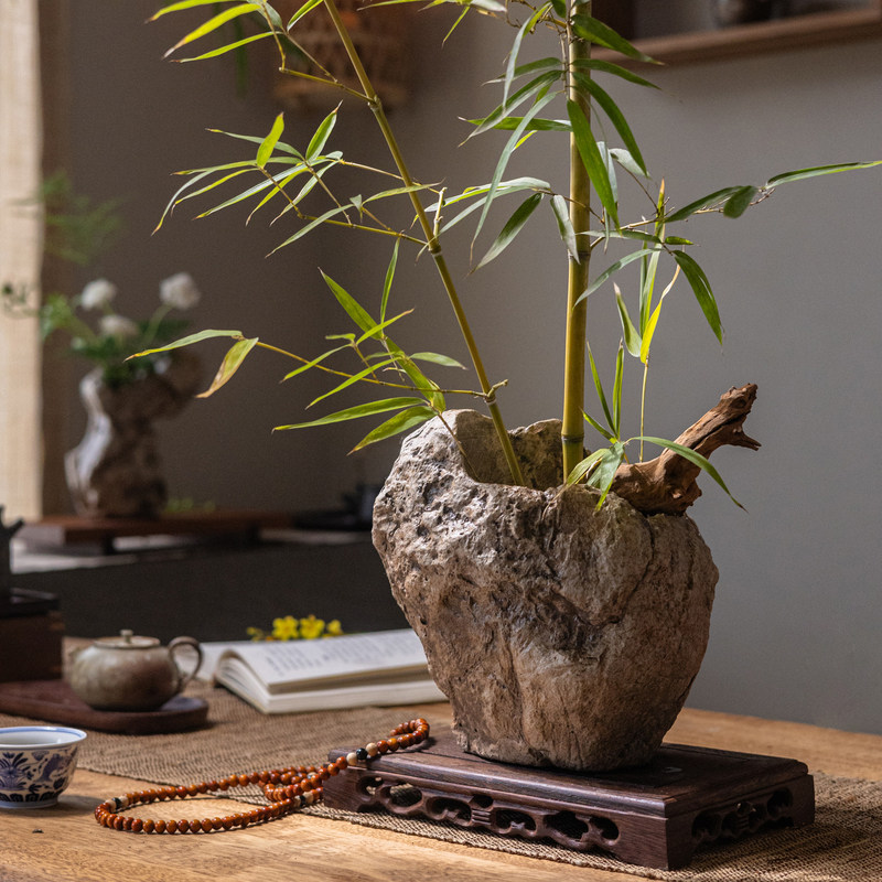 不规则造型仿石头花盆创意桌面装饰绿植花器侘寂风复古花瓶摆件