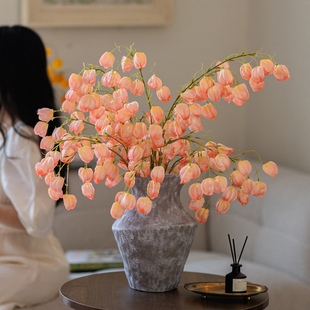 灯笼果干花仿真花假花摆设客厅餐桌玄关装饰仿生花永生花干枝摆件