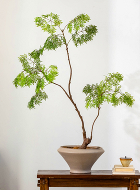 掬涵仿真绿植羽叶福禄桐室内造景家居装饰摆件高级逼真假植物中式