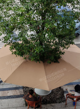 户外庭院挂树围树伞别墅花园营地挂树天幕遮阳伞商用大型太阳伞