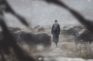 余量 2.23发货 『牧牛人』盗墓笔记同人周边 藏九归一 售完不补