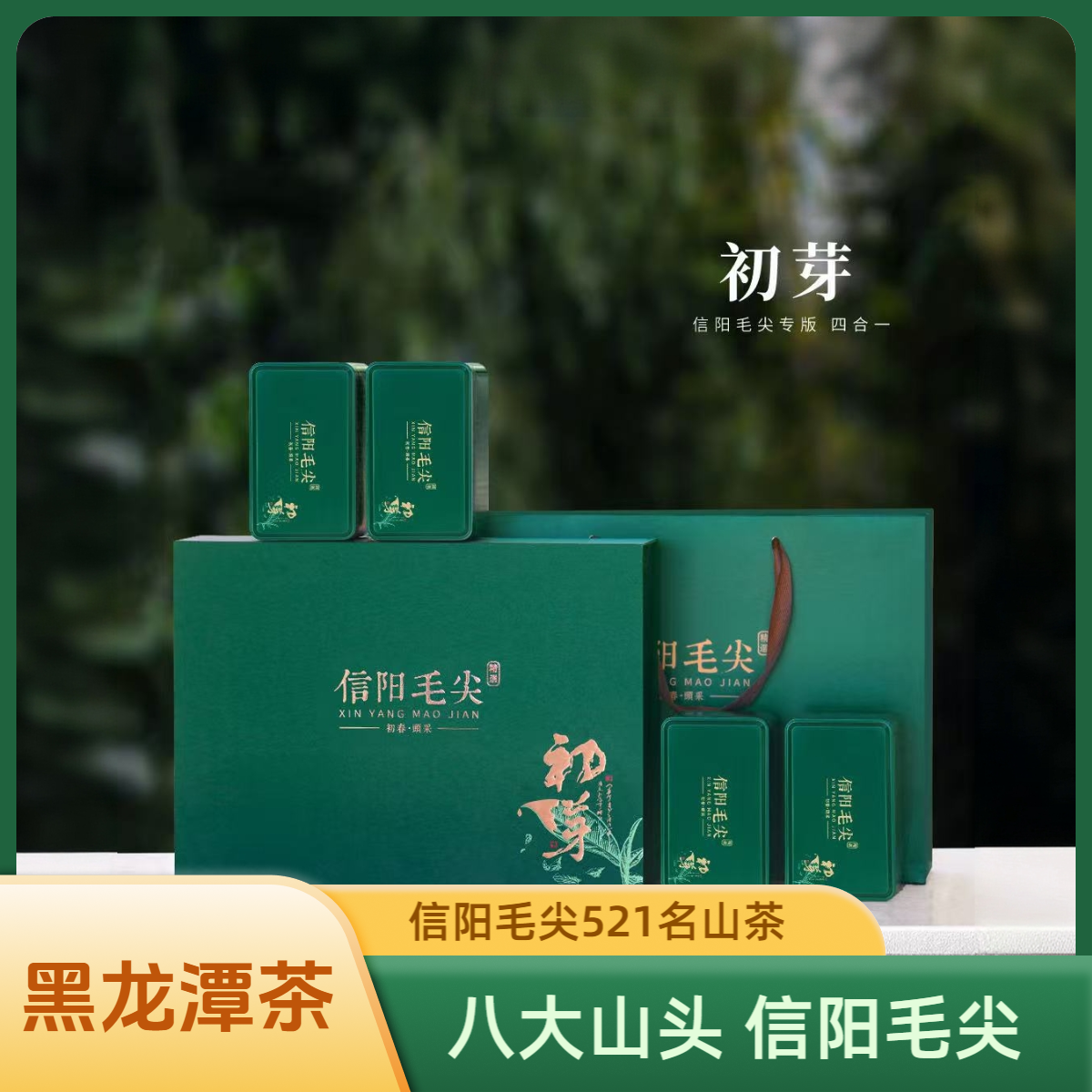 【黑龙潭茶】八大山头信阳毛尖茶一级绿茶礼盒装160g（4g*40袋）