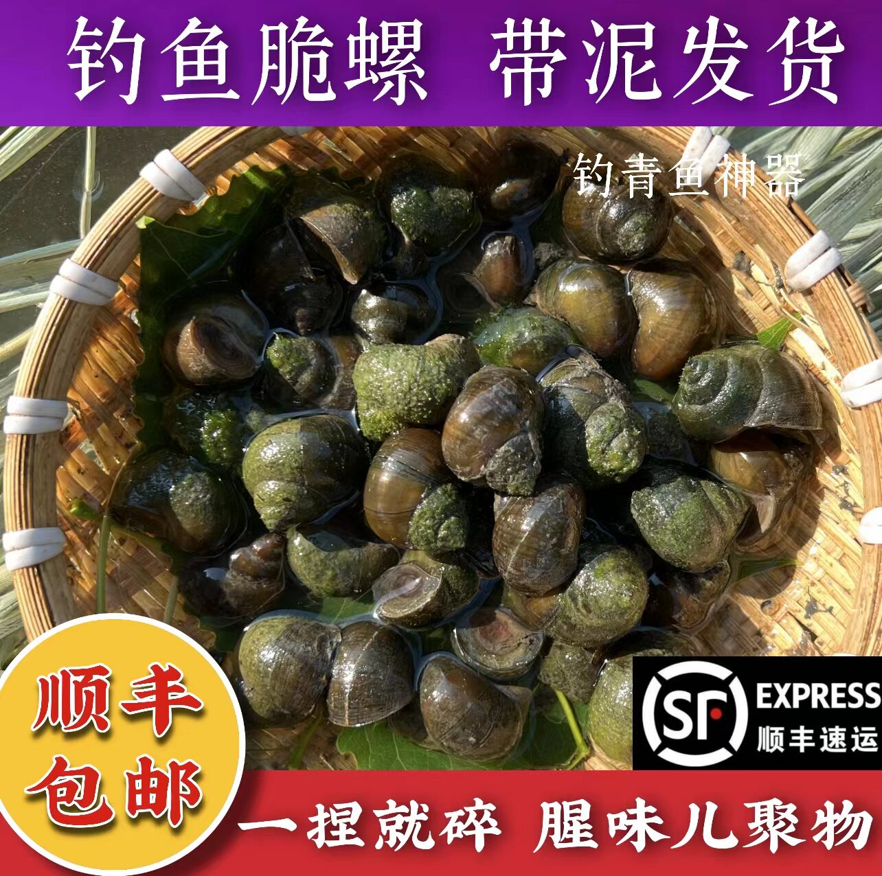 脆螺鲜活钓鱼饵料黑鲩螺蛳青挂钩薄壳小号田螺青鱼饵螺03斤装冷链