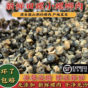 螺丝肉新鲜田螺肉微山湖鲜活现打速冻田螺螺蛳肉2斤冷链包邮
