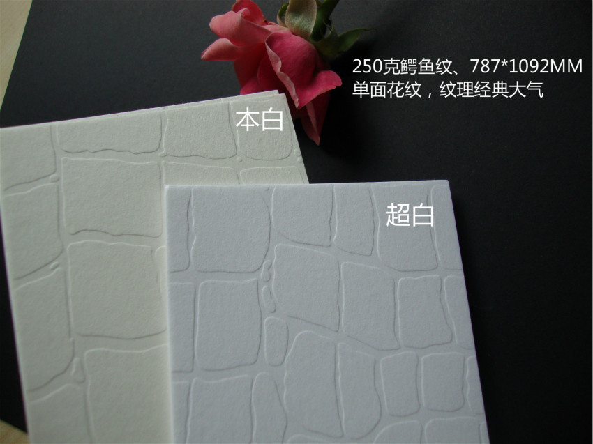 악어 무늬지 250G 표지지 엠보싱 무늬지 아트지 특수지