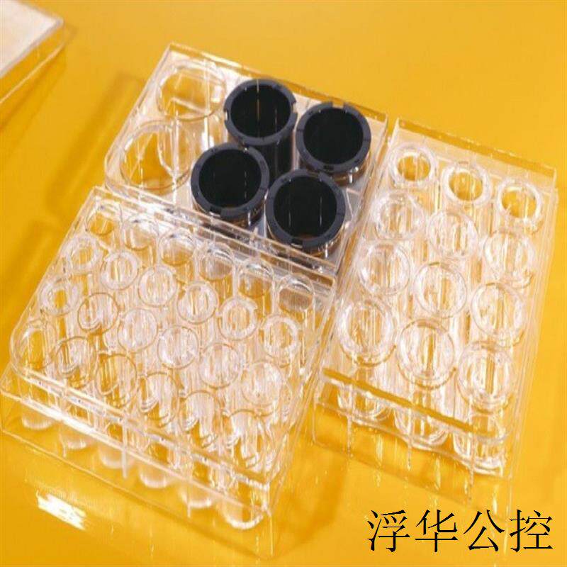 现货共聚焦爬片whb-ccs-10 库号:m253584