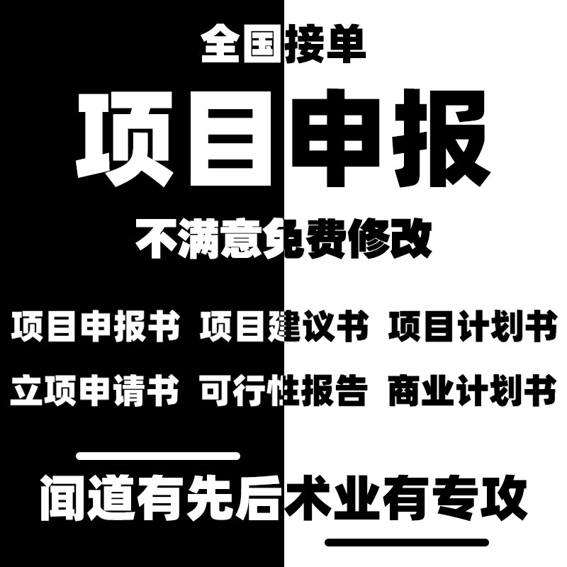 代写项目申报书科技企业项目汇报文章写作