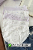 Purple Bow (5 Pieces)