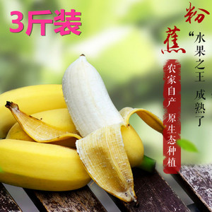小米香蕉粉蕉奶蕉无催熟剂非海南皇帝香蕉芭蕉新鲜水果3斤包邮