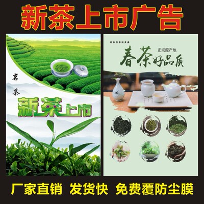 2024年新茶上市广告贴纸茶叶店壁画春茶宣传海报明前绿茶挂图背胶