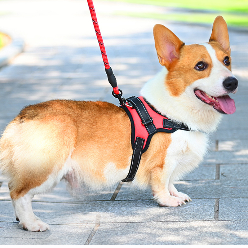 省心省力 防爆冲