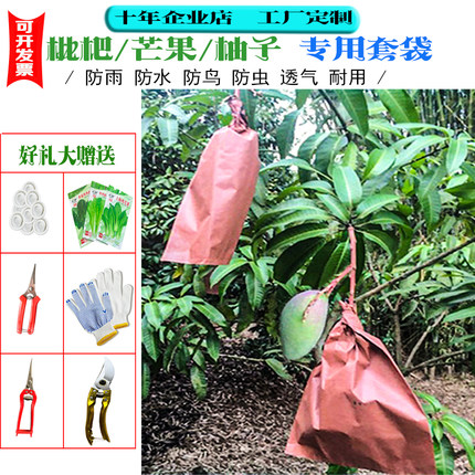 芒果专用套袋双层涂蜡柚子枇杷包装袋防雨水防鸟虫青芒金煌芒纸袋