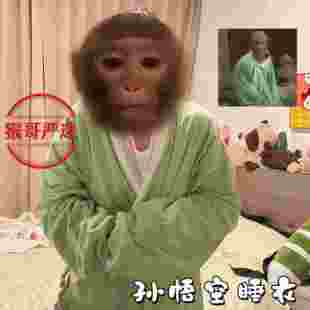 孙悟空睡衣猴哥同款道袍齐天吗喽睡袍搞怪绿色长衫搞笑抽象家居服