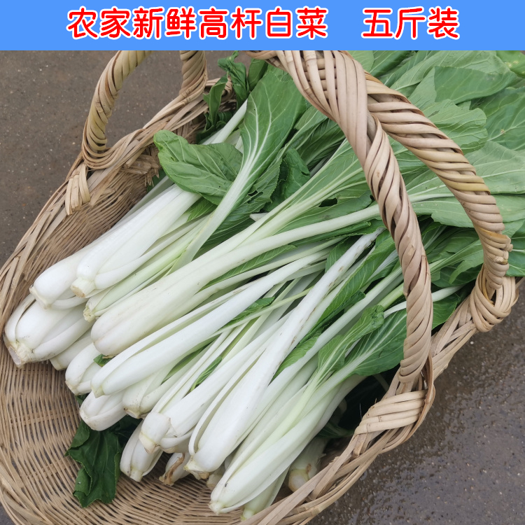 新鲜高杆白菜安徽农家菜