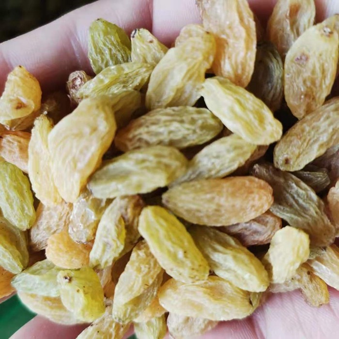 冰粉专用整箱新疆葡萄干奶茶干净