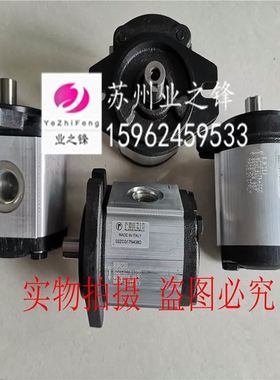 意大利RONZIO罗茨双联齿轮泵02ZCG08L434AD+02ZAG080034PD正