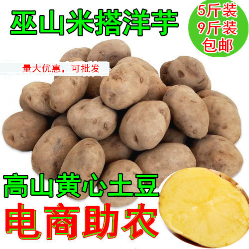 新货 土豆洋芋巫山特产米搭洋芋5斤老品种黄心富硒沙面洋芋马铃薯,水产肉类/新鲜蔬果/熟食,土豆,淘宝优惠券,粉丝福利购,淘宝优惠卷