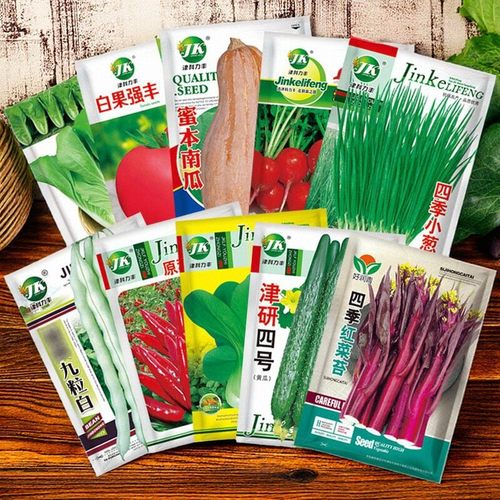 买4送2蔬菜种子四季播种阳台盆栽庭院香菜生菜菠菜小葱种籽孑大全