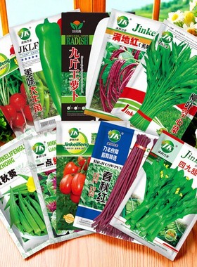 蔬菜种子四季播盆栽阳台庭院黄瓜豆角番茄甜瓜简单春易种籽孑大全